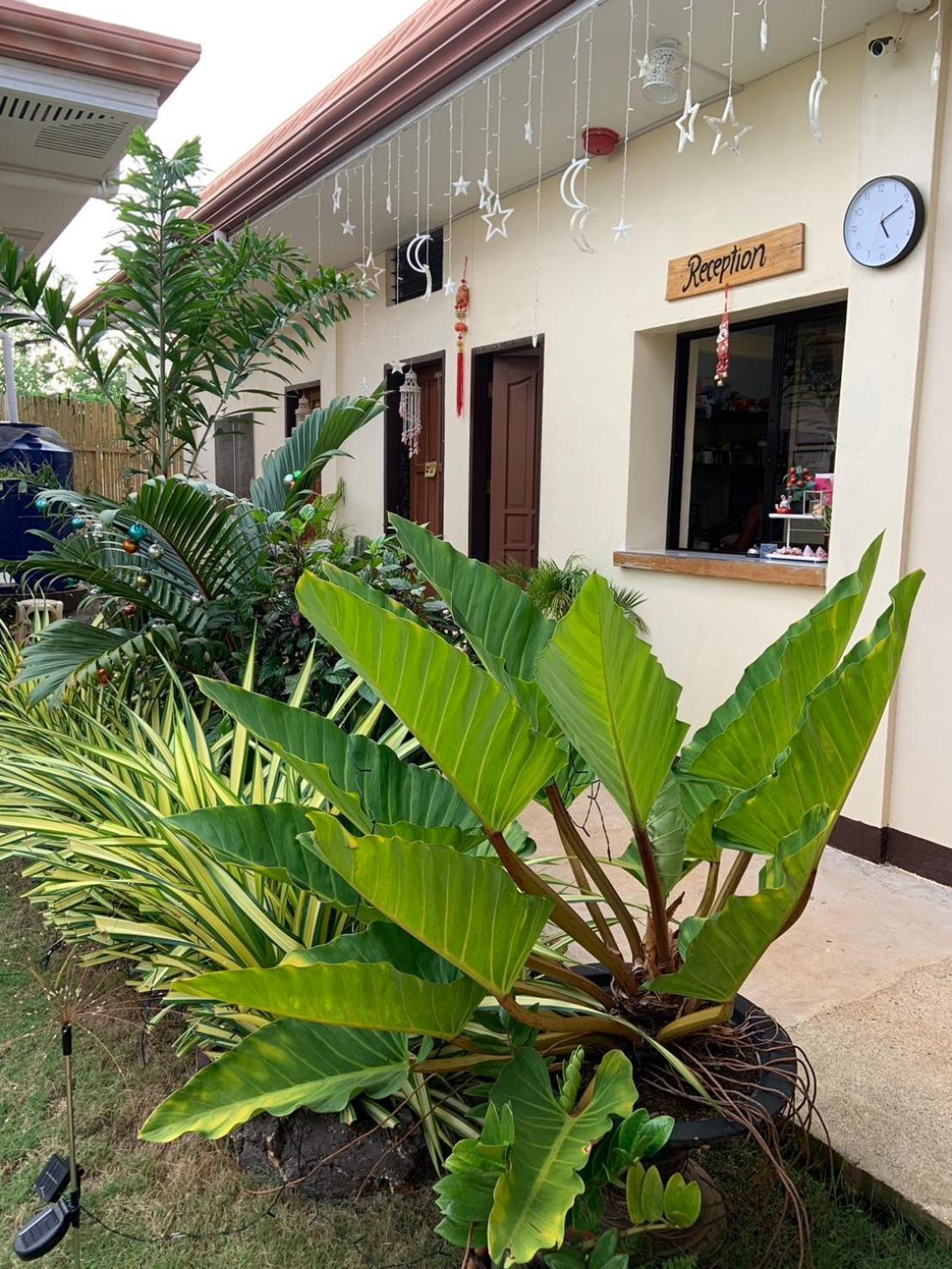 Mingche Apartment Panglao Bagian luar foto